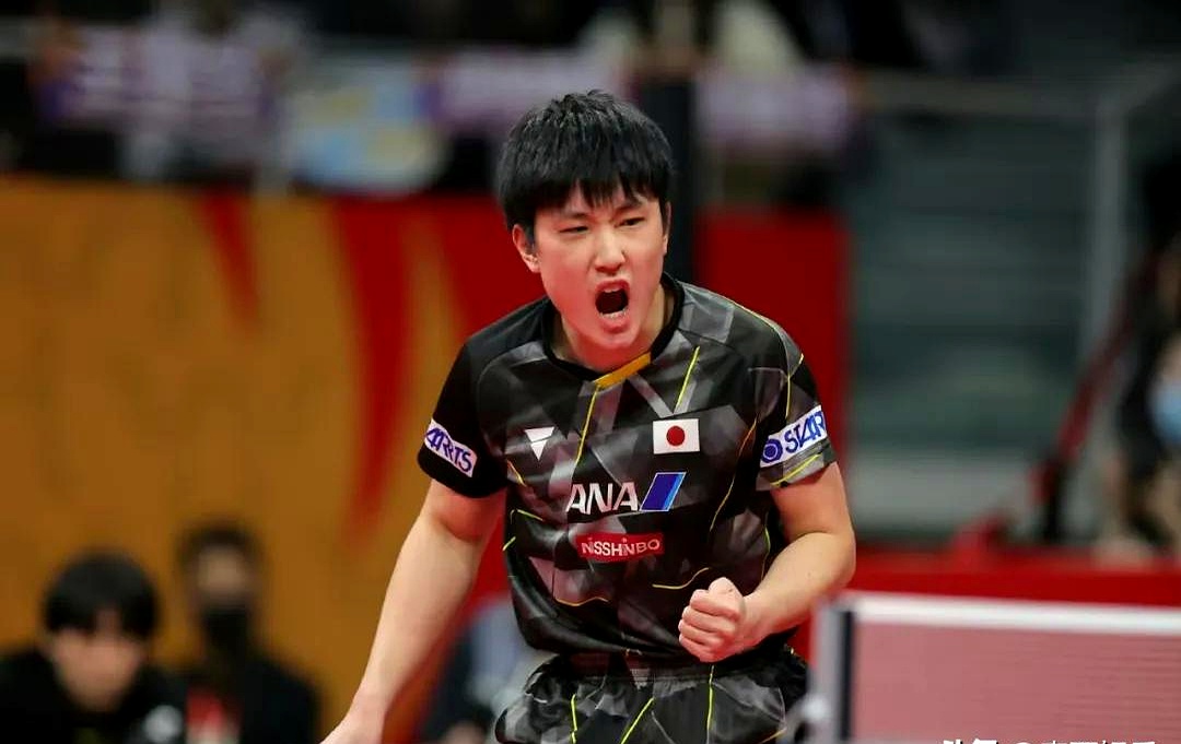 奥地利乒乓球队完胜日本乒乓球队，张本智和绝境逆转