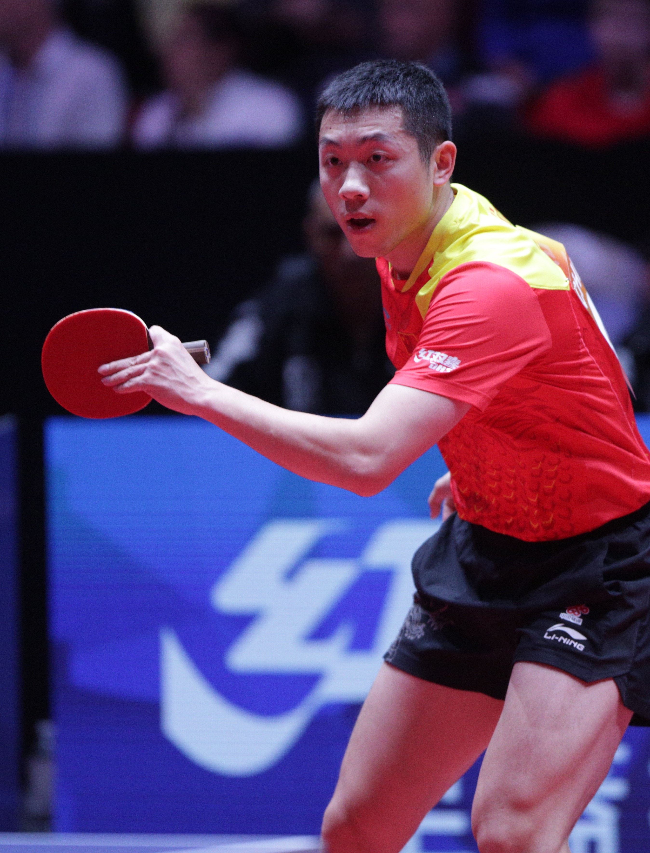 法国乒乓球队绝杀奥地利乒乓球队，许昕惊艳世界的简单介绍