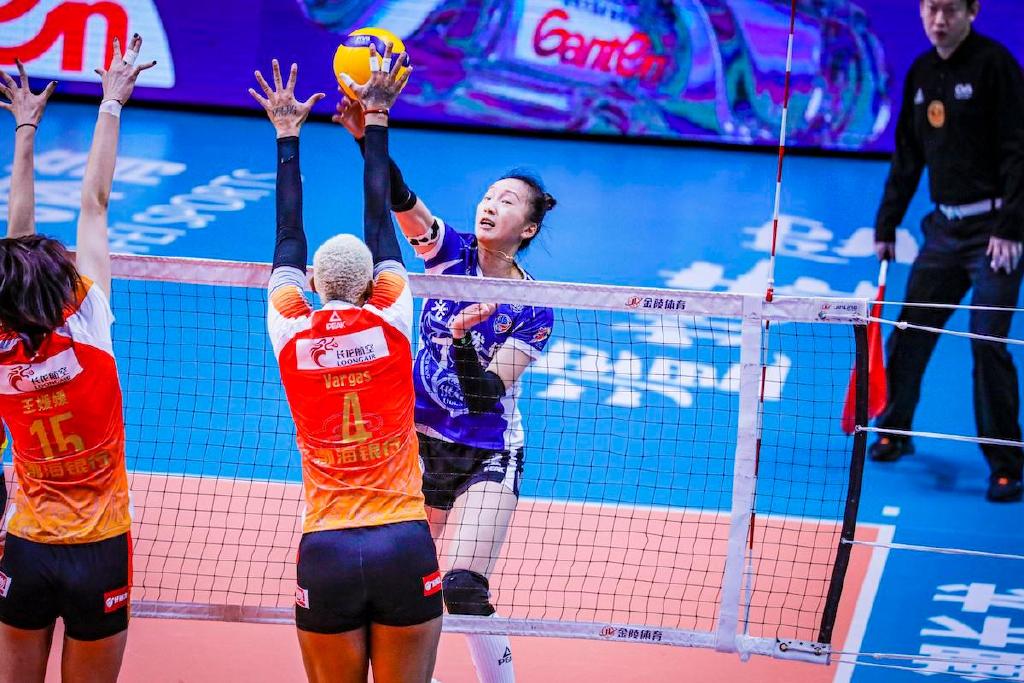 专家预测排球胜率超六成，结果成焦点的简单介绍