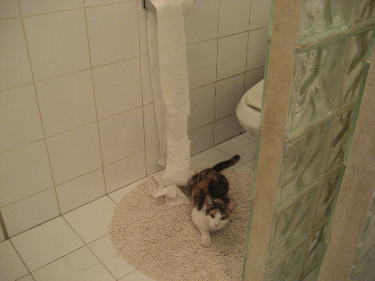 逆转！樊振东独得两分扛全队，波兰乒乓绝杀德国创历史