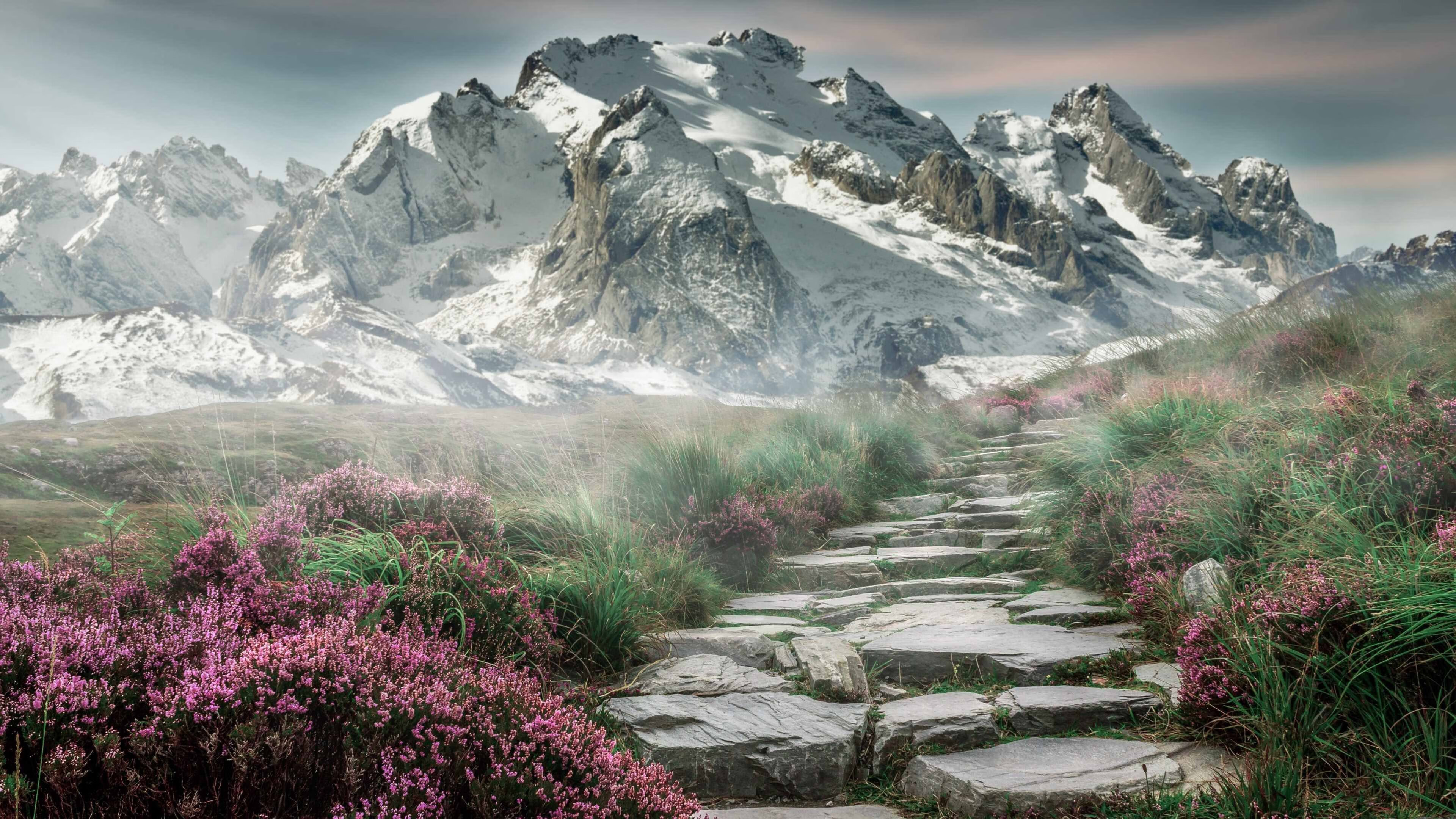 竞技之光的两种写法,从德国队完胜英格兰到张继科高光时刻