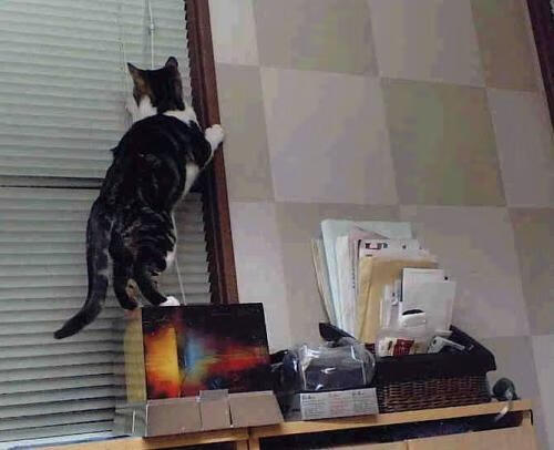 从金玟哉的爆发到喀麦隆的逆转，绿茵场上唯一性的深刻注脚