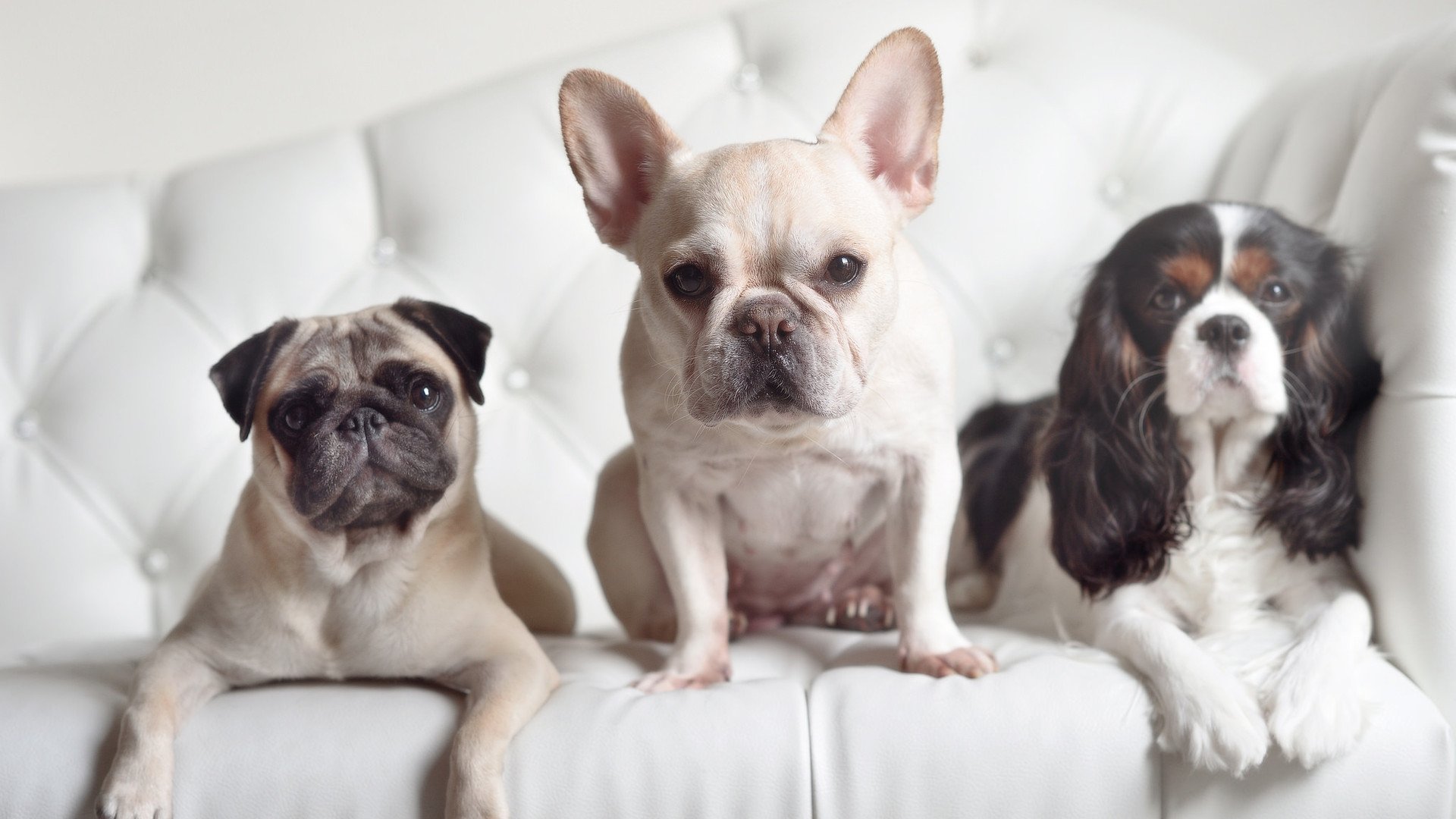 魔幻夜，哈登跨界48分，马刺与上海队的生死之战