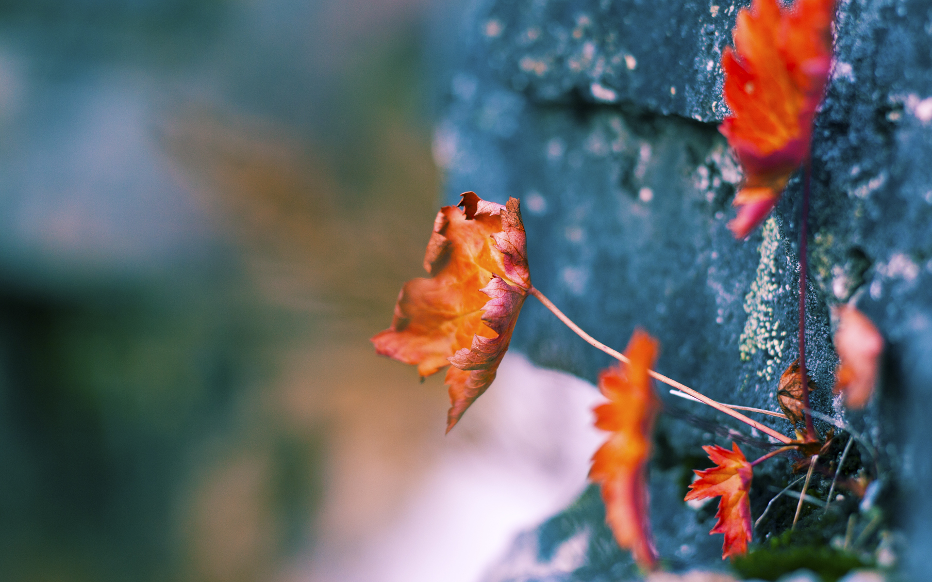 双塔倒塌!布伦森单骑救主,76人上演孤星逆袭