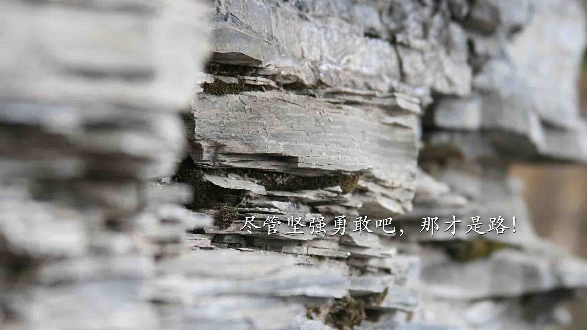 战术洪流与个人英雄主义的对决，比利亚雷亚尔的体系如何冲垮阿尔及利亚，却反衬拉什福德的风暴时刻