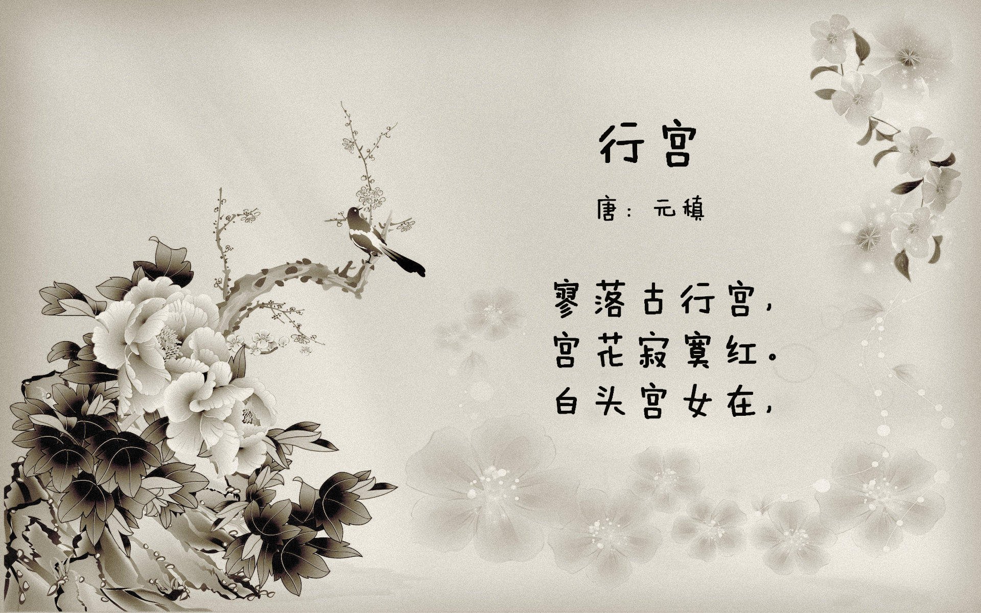 惊天跨越!恩比德50+20统治级爆发,奇才破壁淘汰赛险胜新疆队