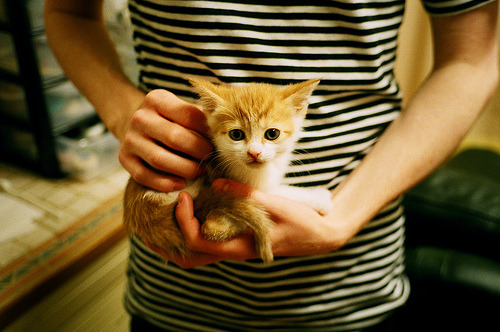 战局裂变时的神性时刻，凯塞多如何在奥运前夜的混沌中，为澳大利亚注入一剂不合时宜的强心针