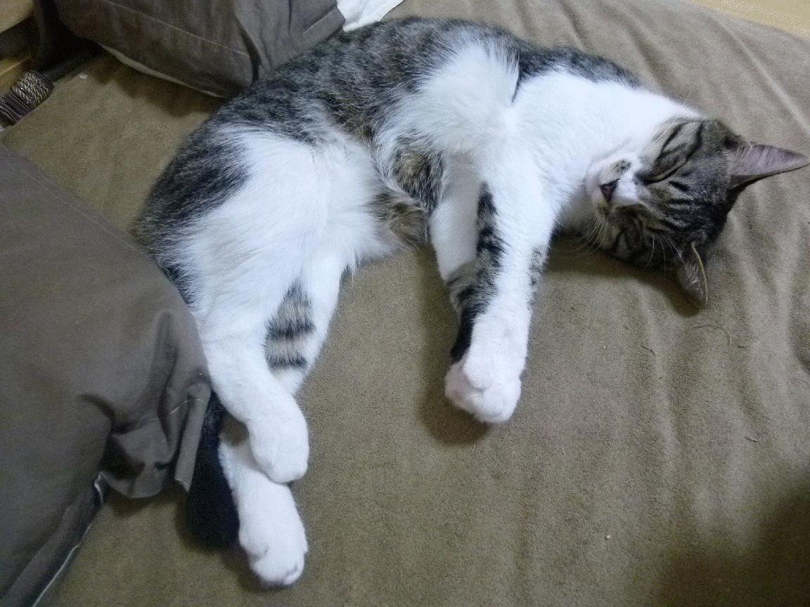 爱游戏官方-燃烧的魂与精致的形，热火抢七战淘汰篮网启示录