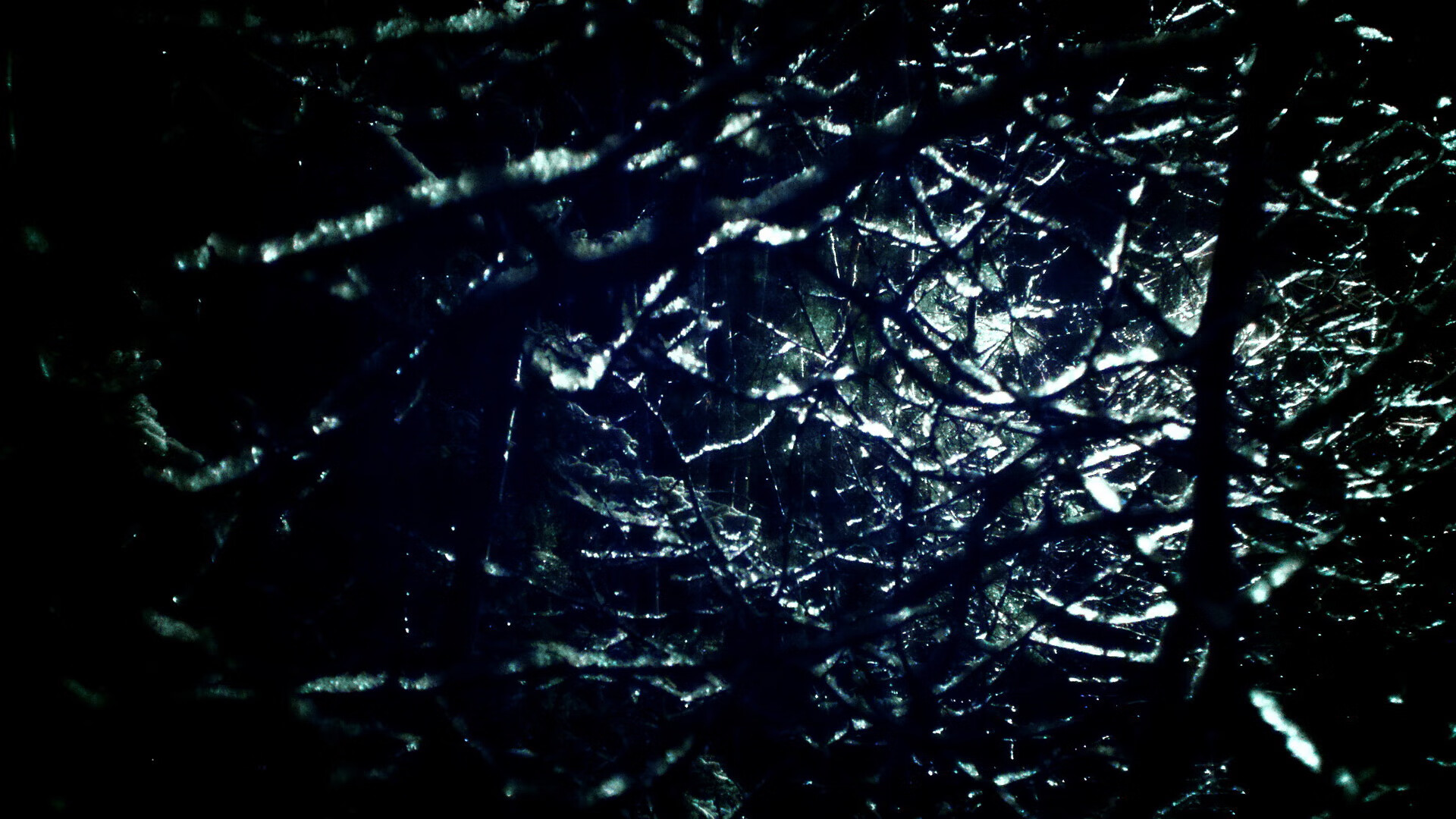 达拉斯战场，一朵红色郁金香如何在霓虹荒漠中刺穿钢铁防线