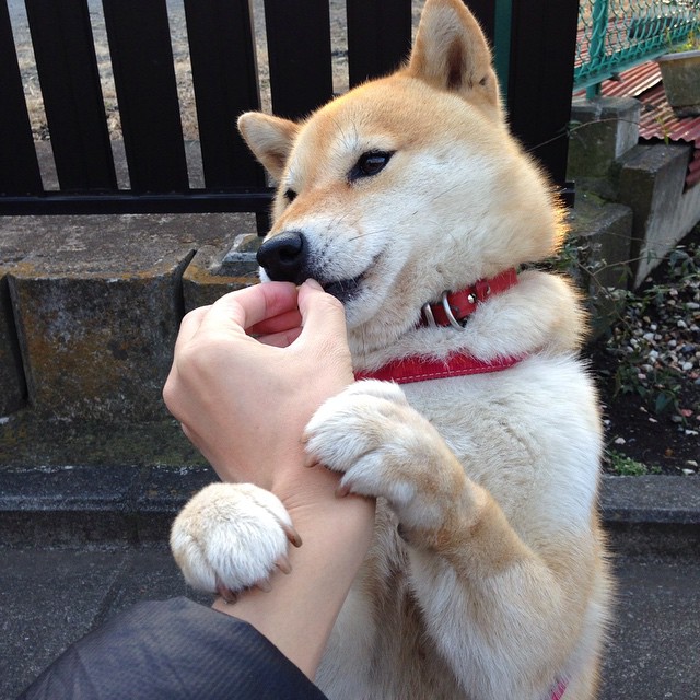 奥运烽火，巴拉圭与尼斯的焦点战，一场战术与文化的跨纬度碰撞