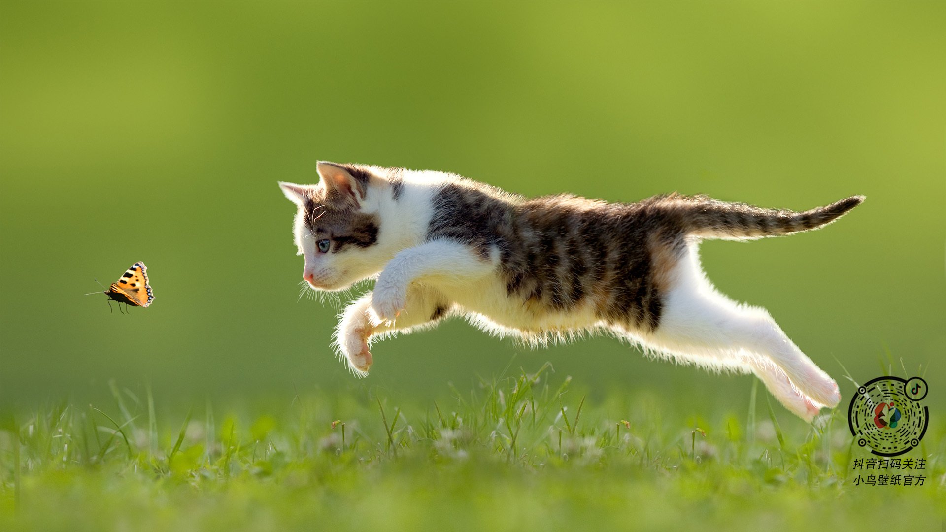 隐形引擎，当福克斯化身精准钟表，76人与湖人的鏖战因谁而倾斜？