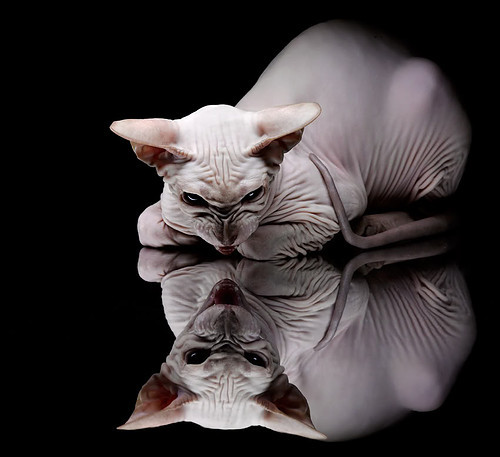 北欧风暴与东方棋局，当挪威攻克摩纳哥，富安健洋在排名暗战中执棋定乾坤