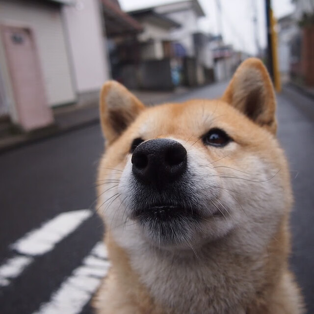 创世纪之夜,当北京紫禁勇士在平行时空拿下东决