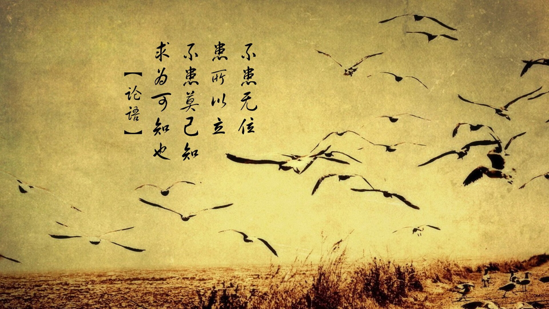 当非洲雄鹰遭遇现代闪电，姆巴佩的两粒进球如何提前终结悬念